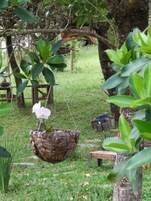 Jardim