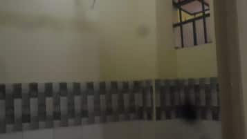 Double Room | Bathroom shower