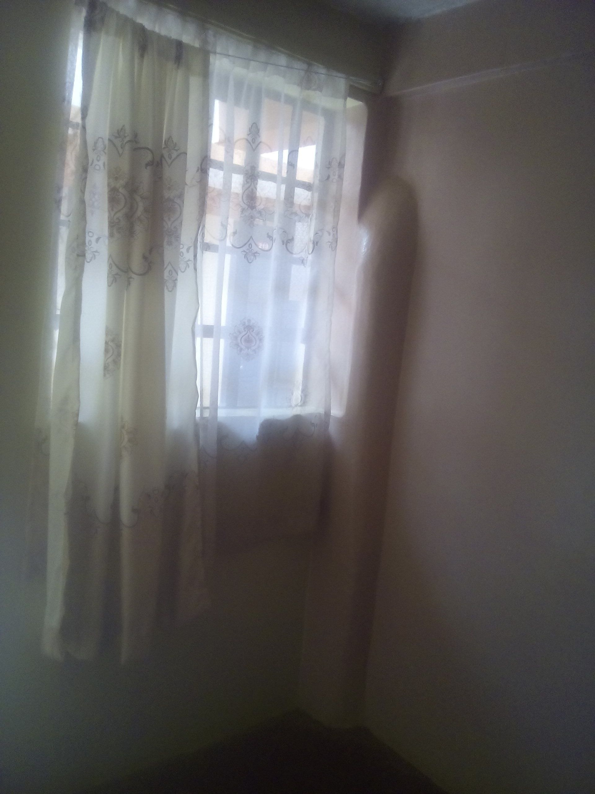 A room with a window covered by a sheer curtain with floral patterns.