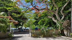 A paved driveway leading to a gated entrance with a tree-lined path. - Pereybere Beach Apartments (Grand-Baie)