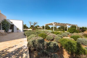 Exterior - Casale con Cipresso (Ostuni)
