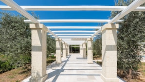Un chemin bordé de colonnes blanches et surmonté d’une pergola blanche, le tout entouré d’oliviers.
