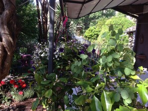 Garden - B&B Falcone (Castrovillari)