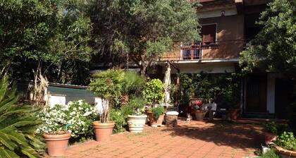 B&B Falcone