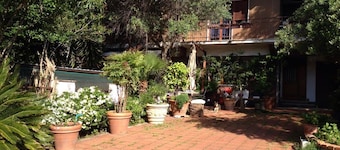 B&B Falcone