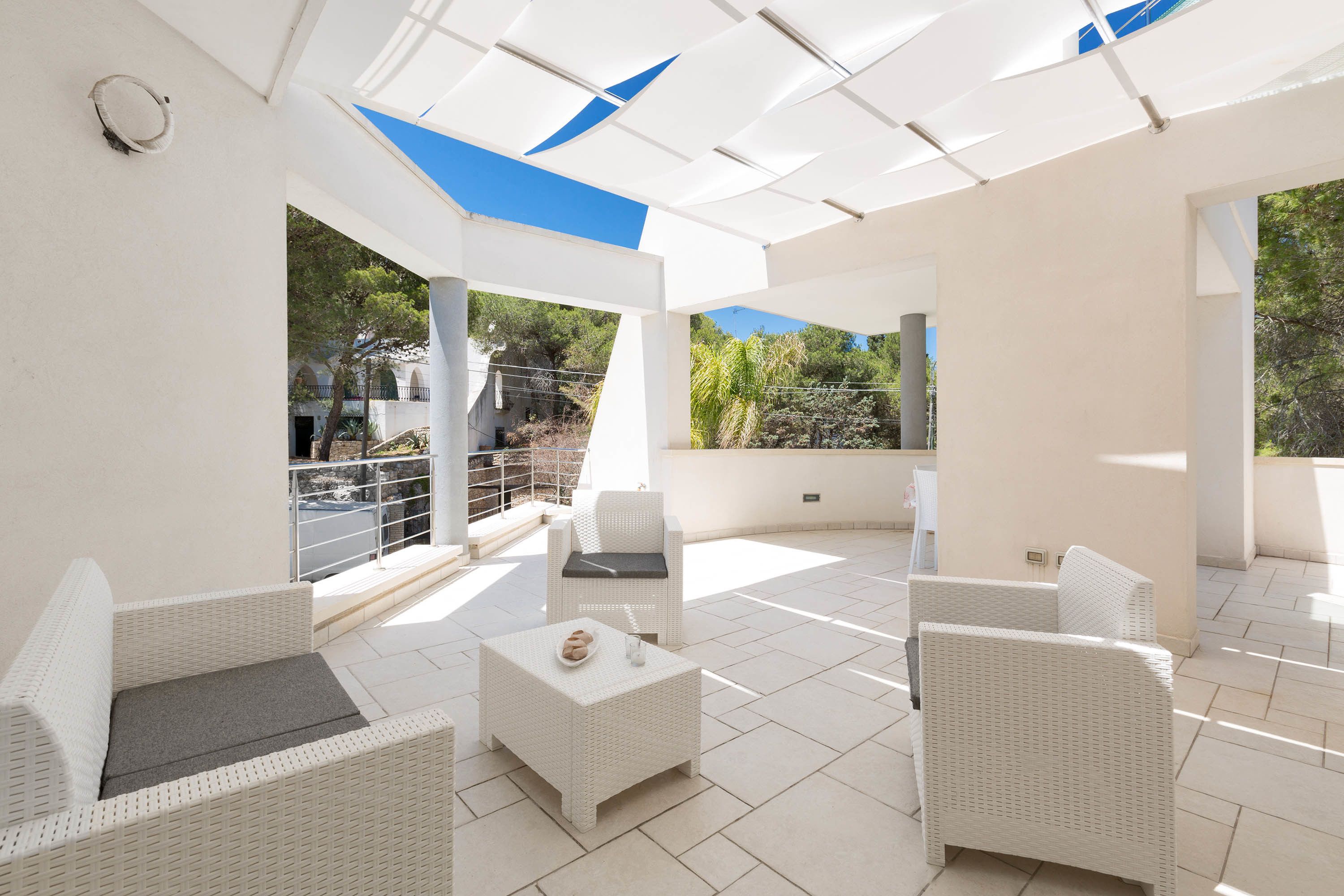 テラス / パティオ