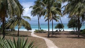 A beach path leading to the ocean with palm trees and a clear view of the sea. - Diani house (Diani Beach)