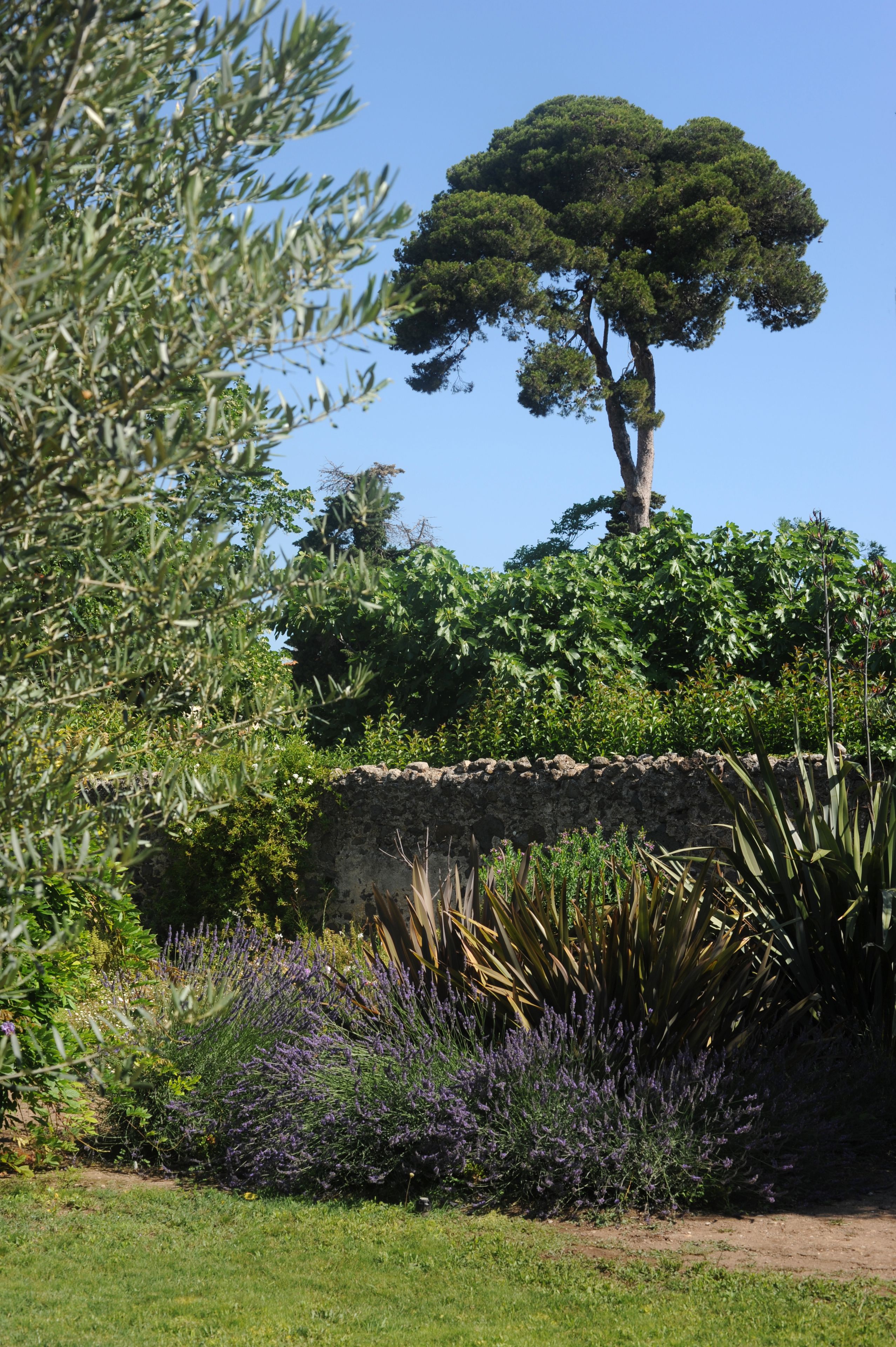 Jardín