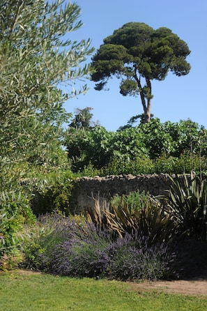 Garden - Les Chambres d'Andréa (Marseillan)