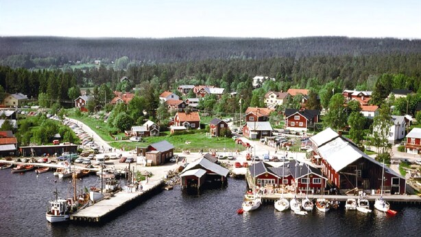 Un pueblo costero con un puerto deportivo, casas y un fondo boscoso.
