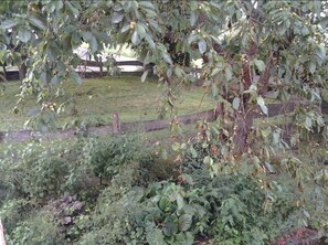 Garden - Ferienwohnung Weitblick (Leun)