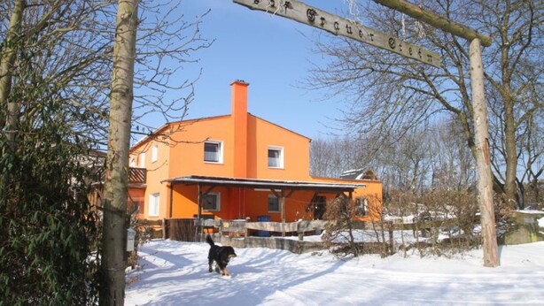 Ein Haus mit einer leuchtend orangefarbenen Fassade, einem Holzzaun und einem Hund im Schnee.