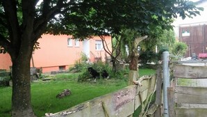 Ein eingezäunter Außenbereich mit Rasenfläche, einem Baum und einem Gebäude im Hintergrund.