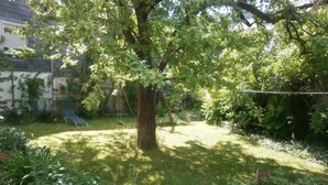 Un patio trasero con un árbol grande, un columpio y césped.