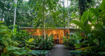 Jaguar Inn Bungalows