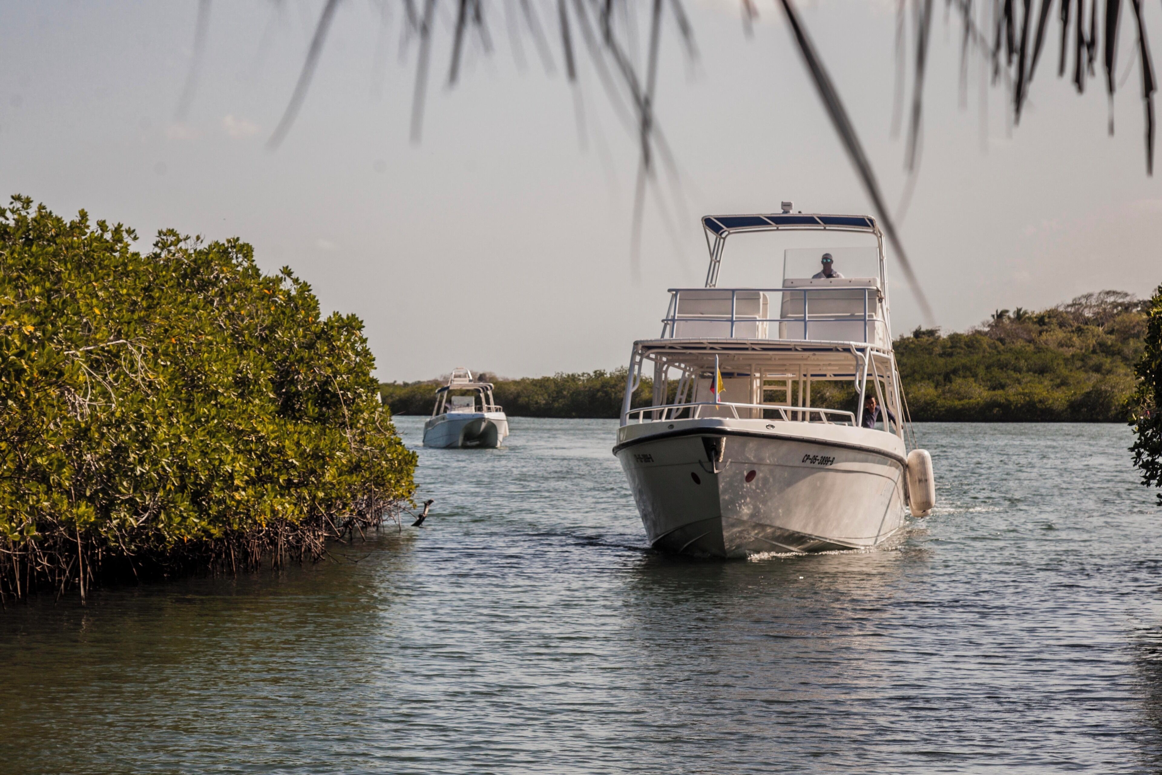 A boat on calm water with a docked boat in the background and a mangrove forest on the left.