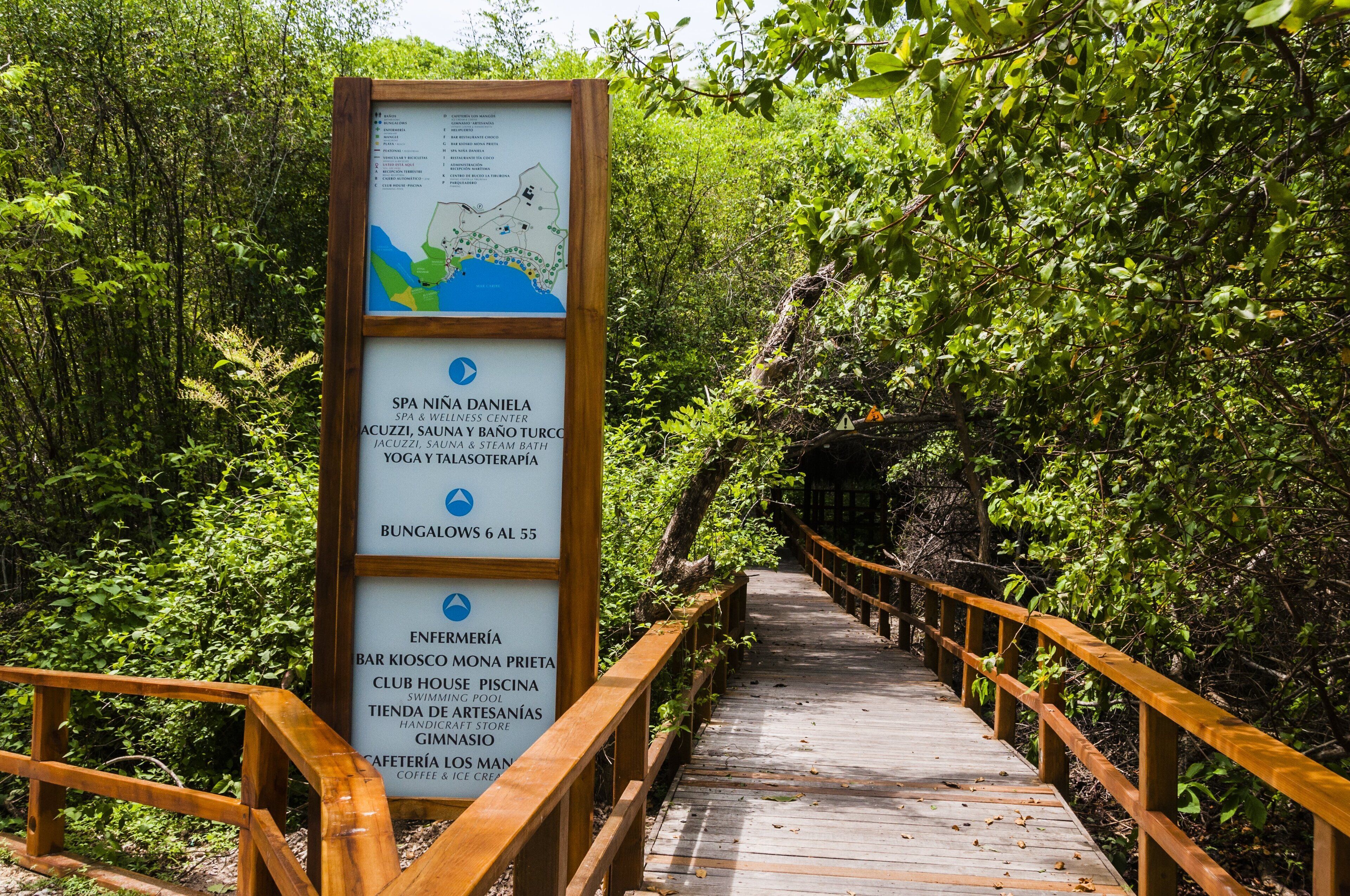 A wooden boardwalk leading through a lush, green forest.