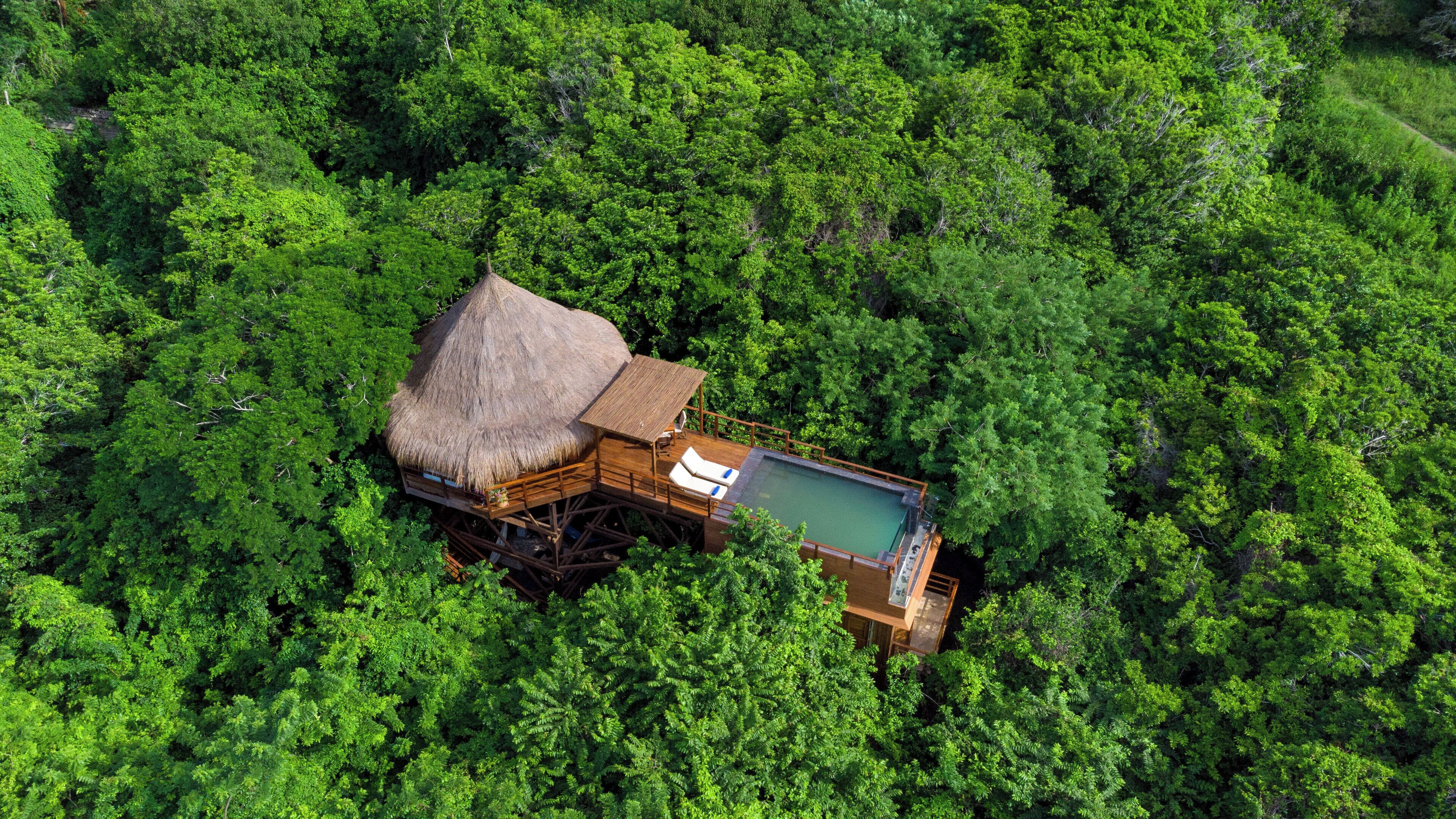 An aerial view of a treehouse with a thatched roof, a pool, and wooden deck chairs.