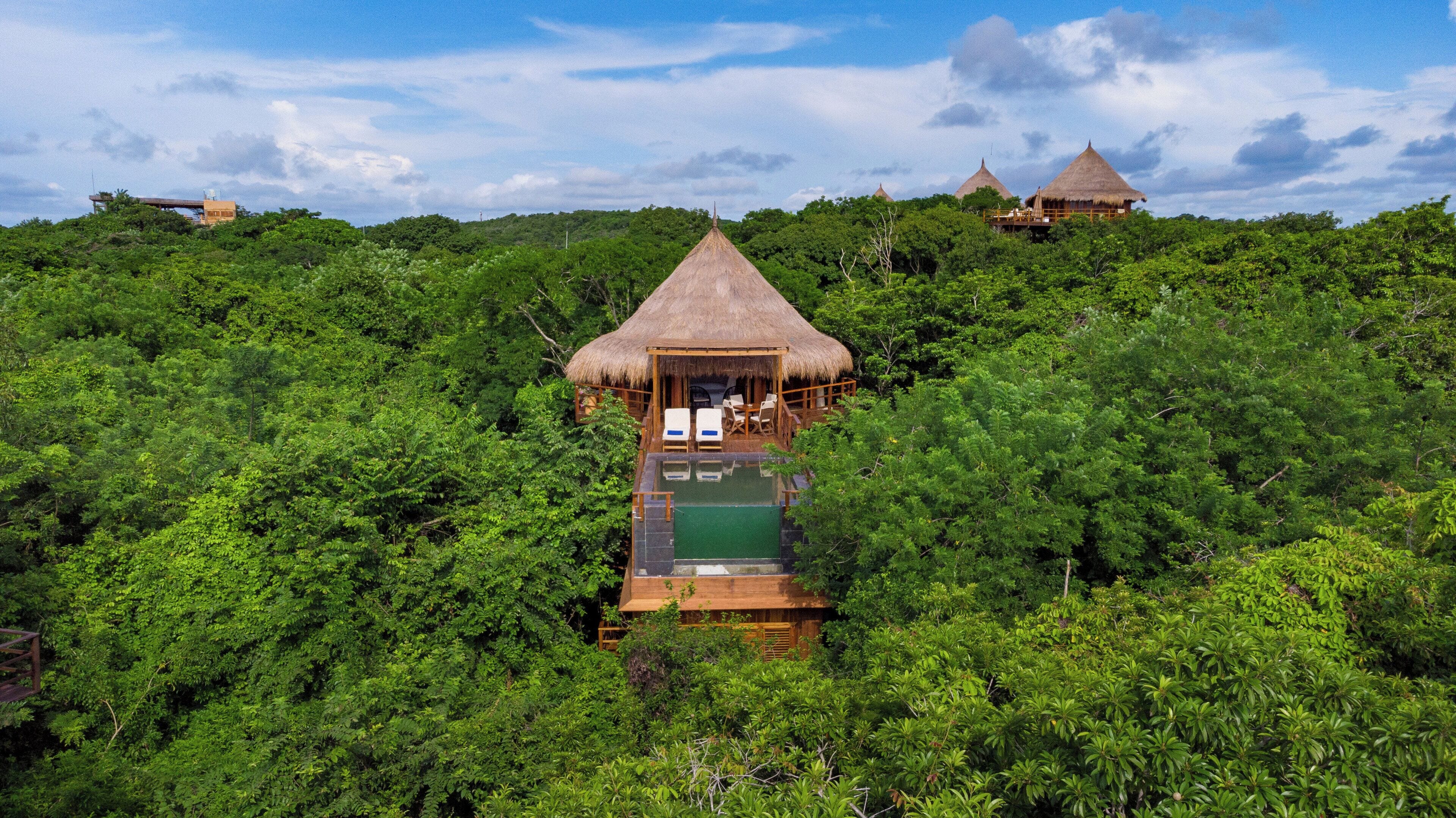 Uma casa na árvore com telhado de palha, piscina e área de refeições.