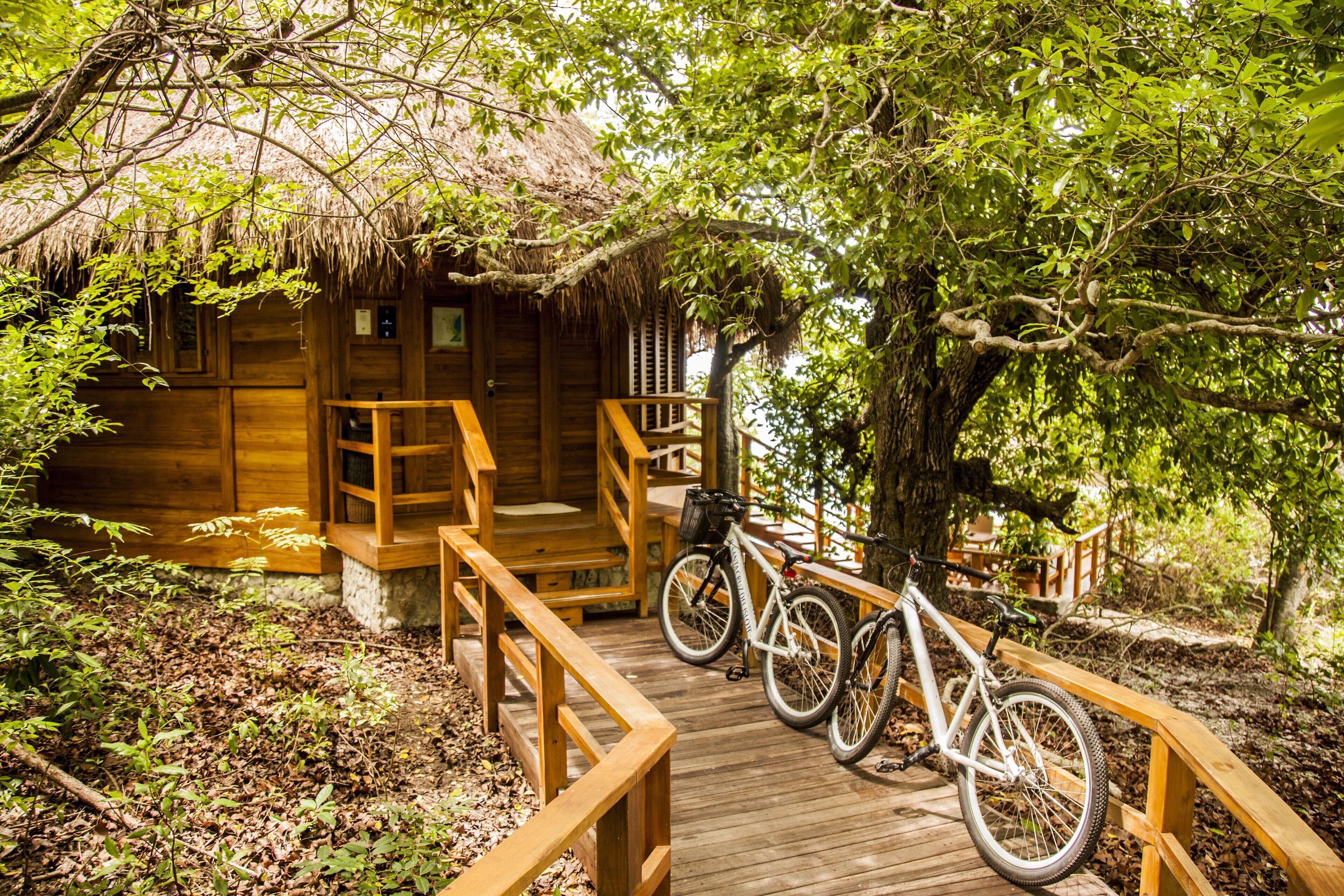 A wooden cabin with a thatched roof, a wooden deck, and a bicycle parked outside.