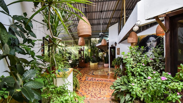 Un jardin intérieur luxuriant, avec un chemin bordé de mosaïques menant à une porte sur laquelle est inscrit « Bienvenue ».