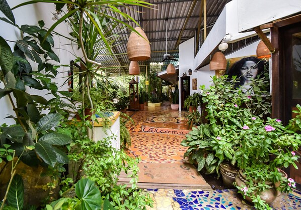 Reception - Jacaranda Hotel & Jungle Garden (Cahuita)