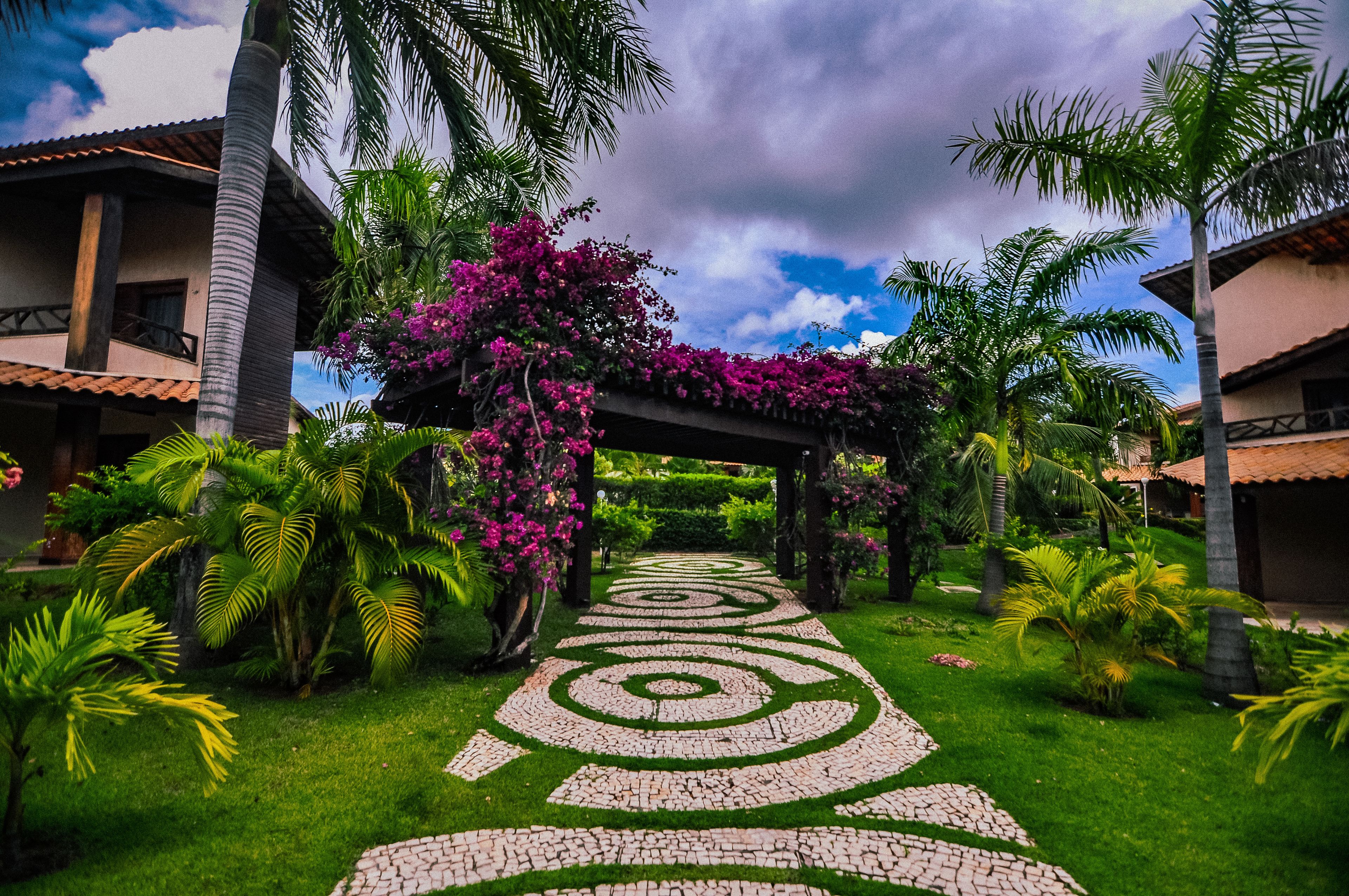 Vista desde la propiedad
