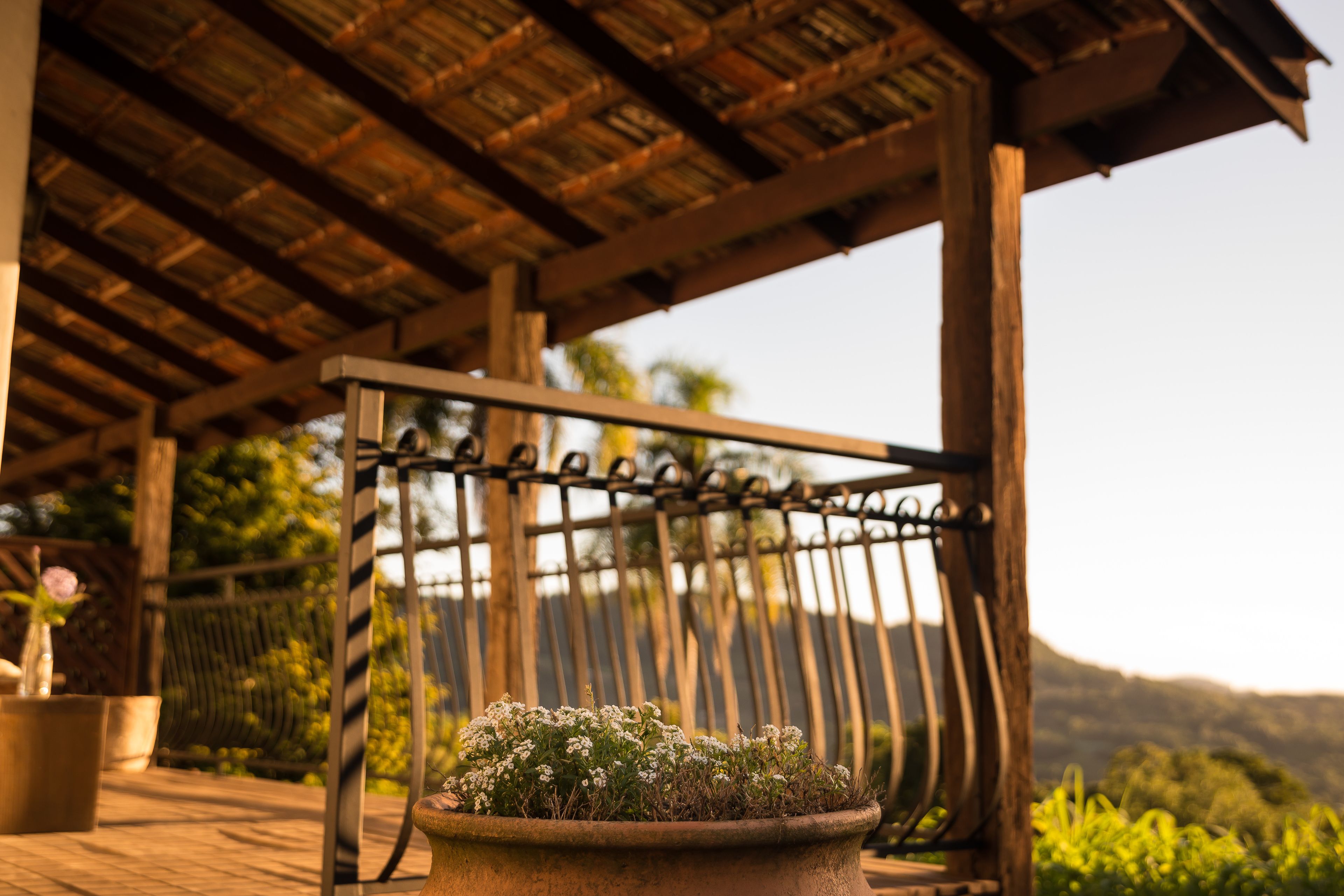 Una pérgola de madera con barandilla de metal, una planta en maceta con flores blancas y una vista de follaje y colinas al fondo.