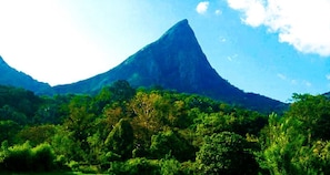 Khuôn viên nơi lưu trú