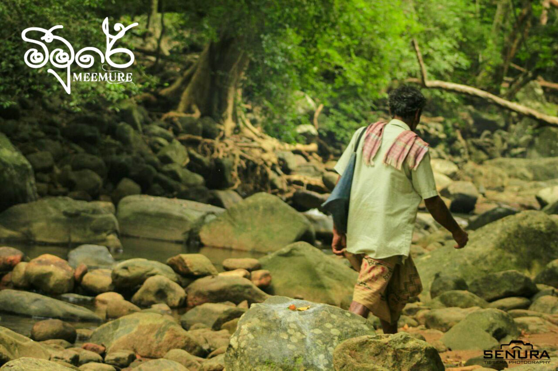 A person walking on a rocky path surrounded by greenery.