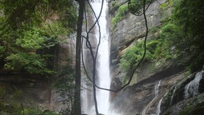 Ein Wasserfall, umgeben von üppiger Vegetation und felsigem Gelände.