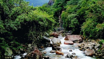 Outdoor pool, a natural pool