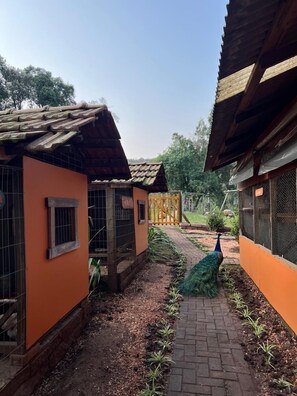 Children's activities