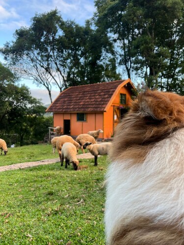 Pousada Maibe Amanhecer na Serra