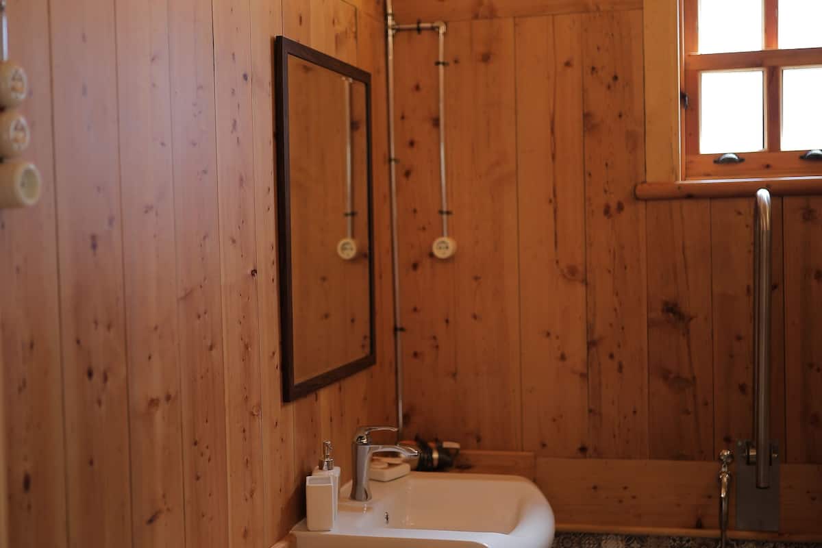 double room | free minibar, desk, soundproofing, iron/ironing board