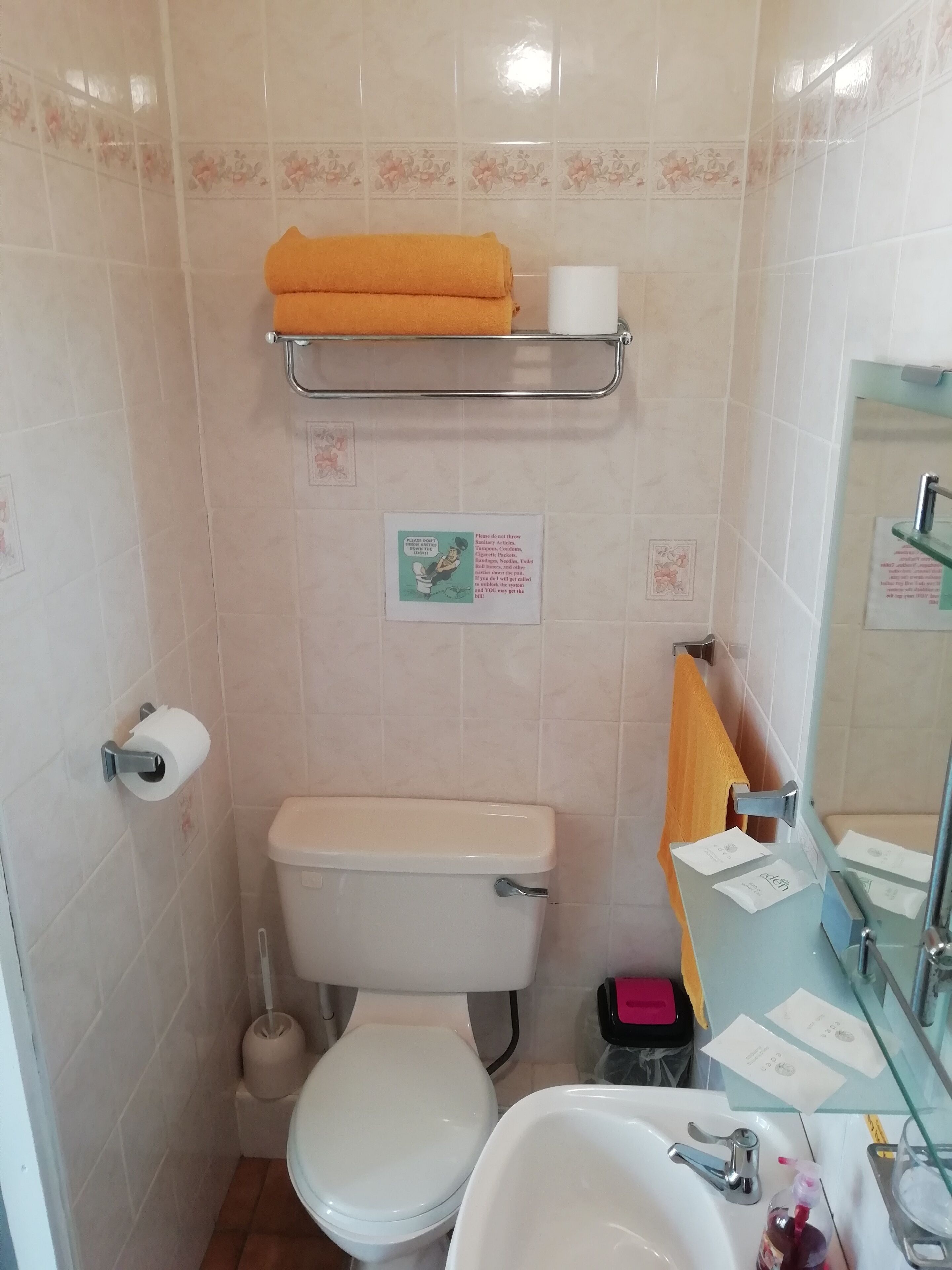 Foto - The Shining Diamond