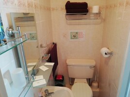 Een compacte badkamer met toilet, wastafel en een douchecabine van glas.