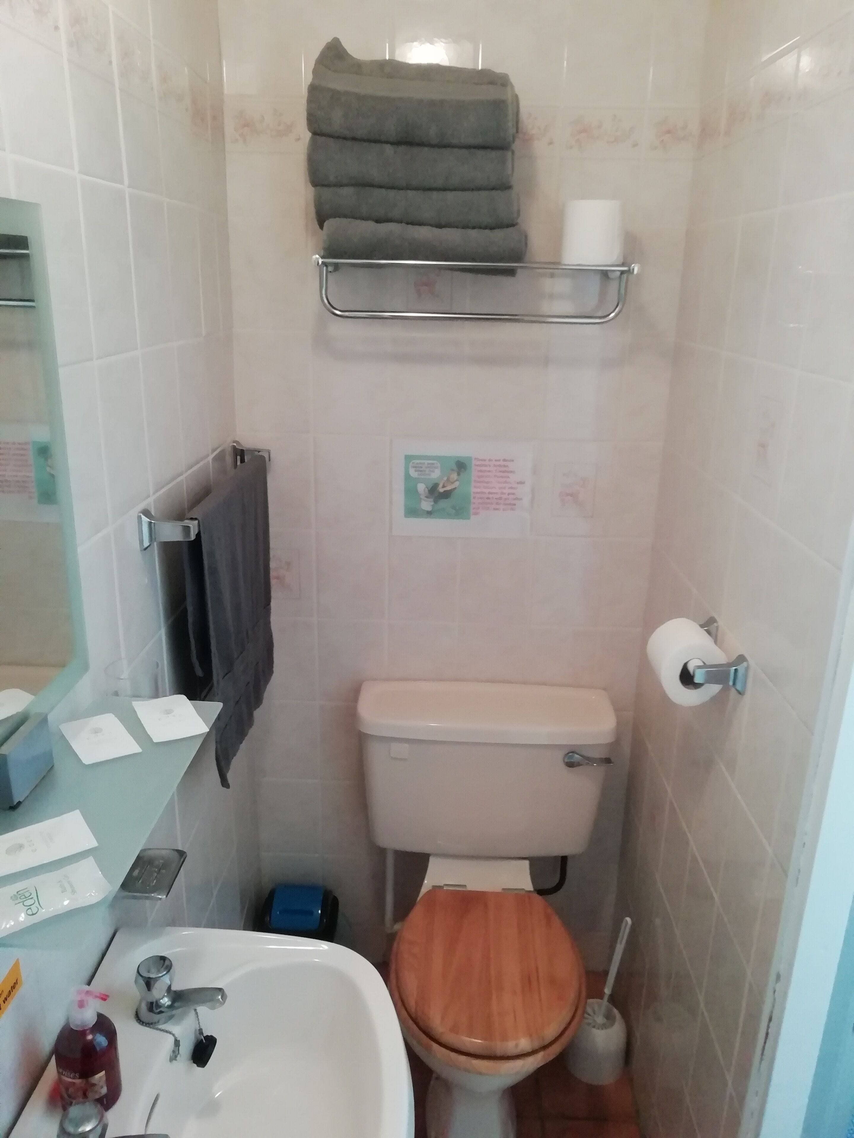 Foto - The Shining Diamond