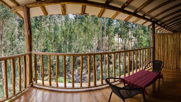 Terraza de madera con barandilla curva que da a una zona boscosa.
