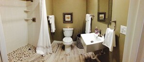 Hair dryer, towels, soap, toilet paper - The Coolest House in Brevard- Mid-Century - Impeccably Clean (Brevard)