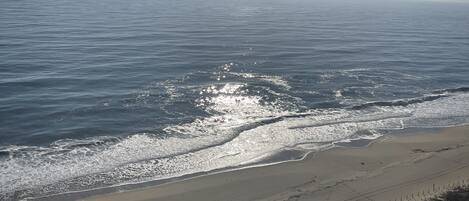 Ein Strand mit einem Zaun und blauem Himmel.