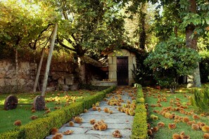 Terrein van de accommodatie