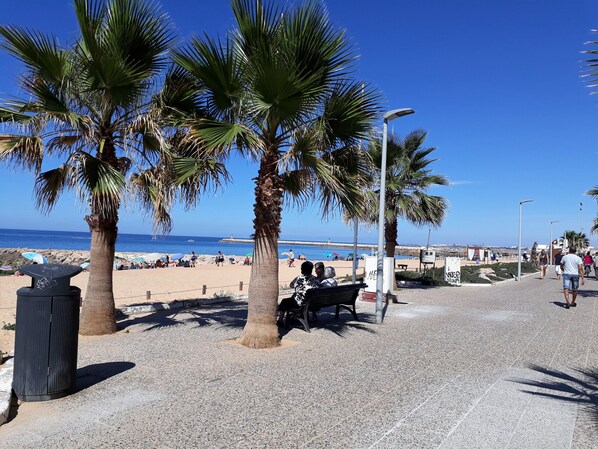 A paved walkway with palm trees, a bench, and a view of the beach and sea.