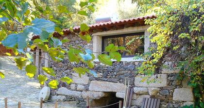Quinta da Chouza AGROTURISM and ENOTURISM MOINHO G - Private beach - Free Wifi