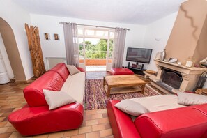 Älytelevisio, takka, DVD-soitin, kirjoja