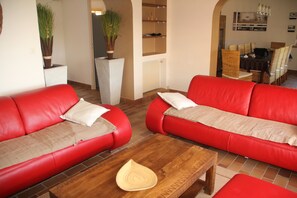 Älytelevisio, takka, DVD-soitin, kirjoja