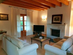 Fernseher, Kamin, DVD-Player, Bücher