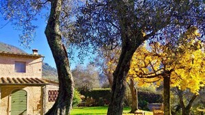 A rustic stone building with a green door, surrounded by a well-maintained garden with large trees and a bench.