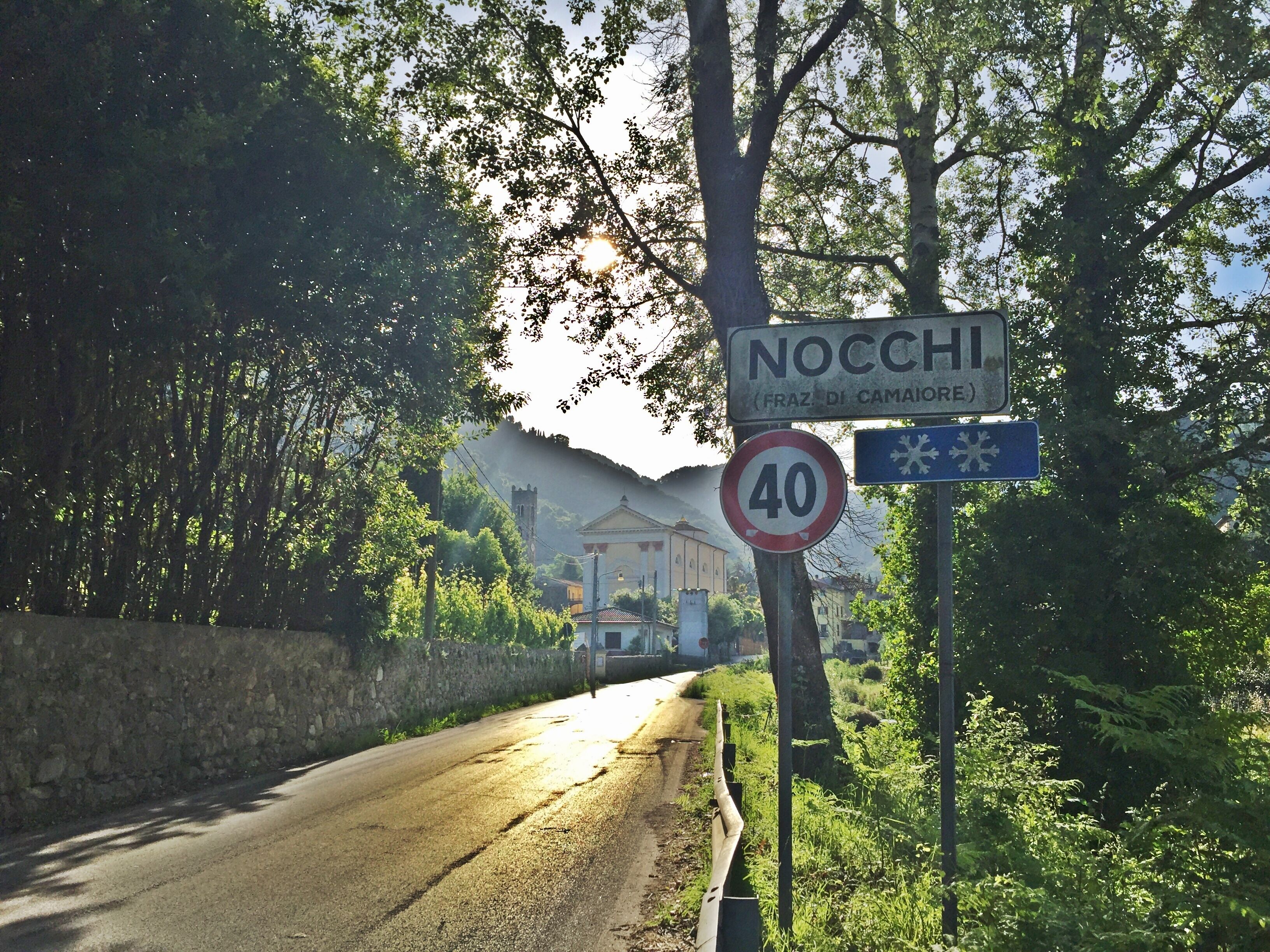 A road sign with 'NOCCHI' and '40' indicating a speed limit, surrounded by trees and a stone wall.