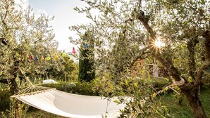 Eine Hängematte in einem Garten mit Olivenbäumen und einer Steinmauer im Hintergrund.